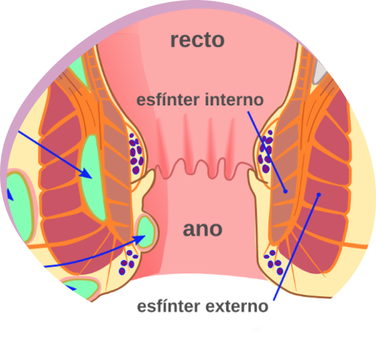 abcesoperianal